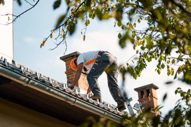 Best Roof Gutter Cleaning  in Elba, AL