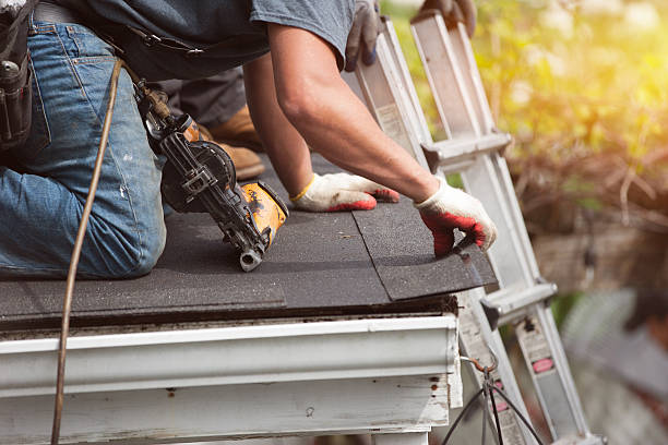 Professional Roofing Contractor in Elba, AL